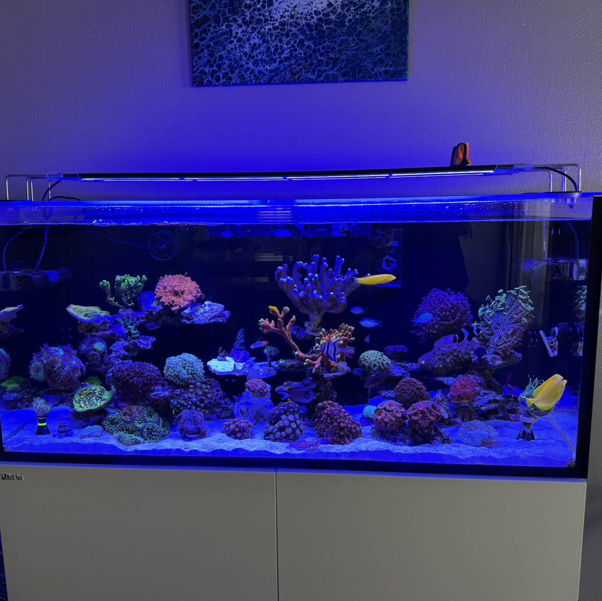 Tank Image