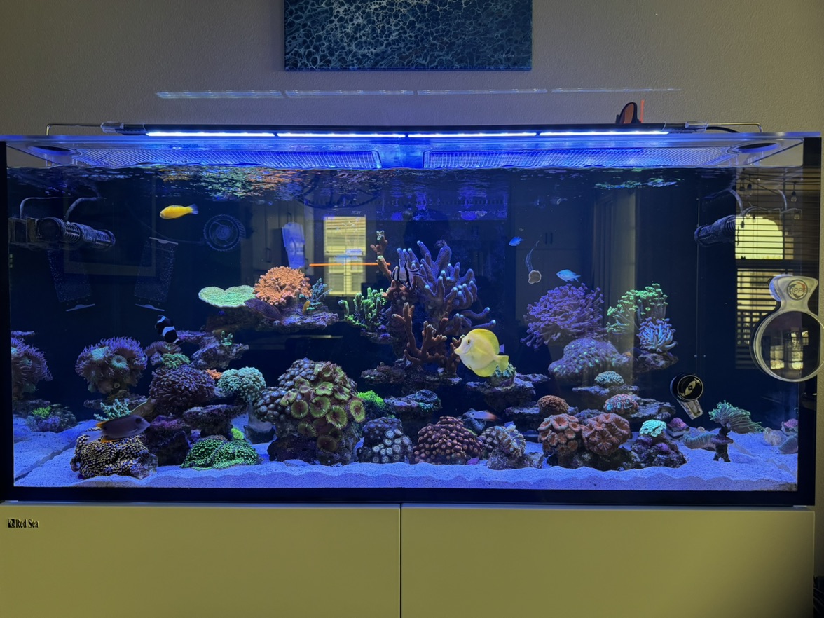 Tank Image