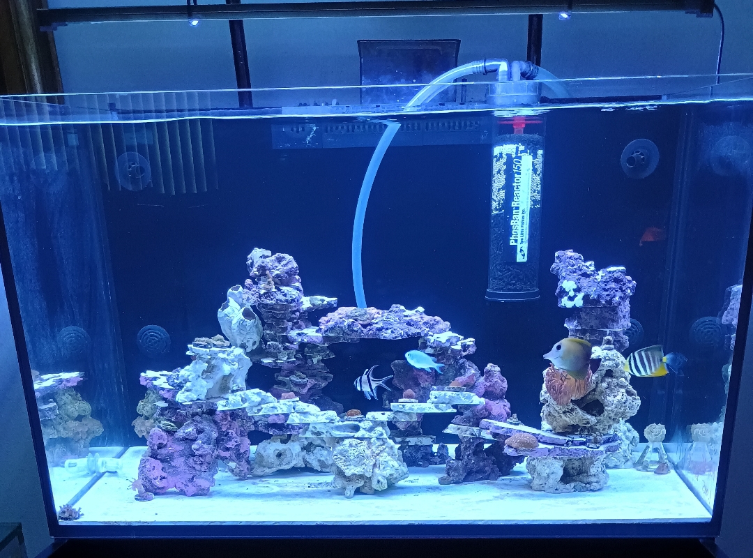 Tank Image