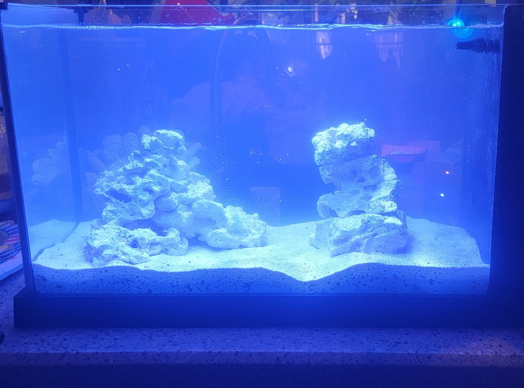 Tank Image