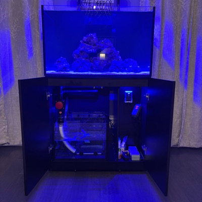 Kevins_Reef_Tank