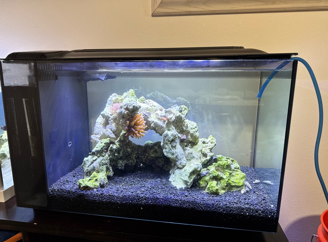 Tank Image