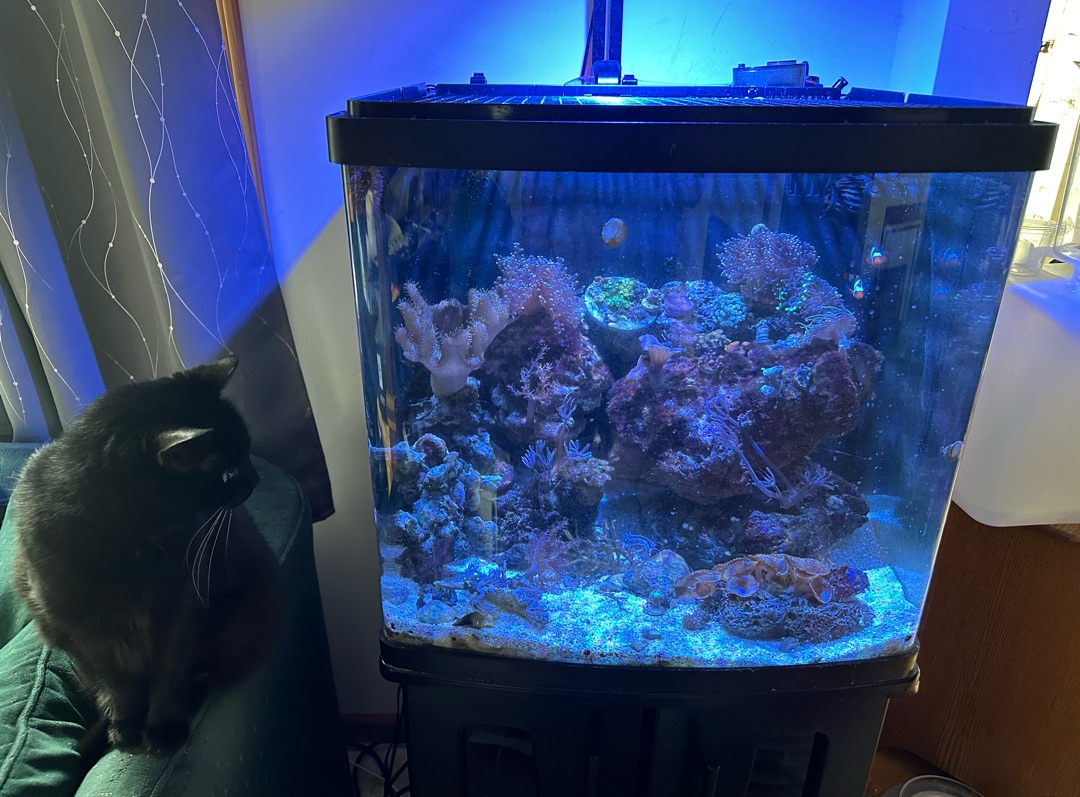 Tank Image