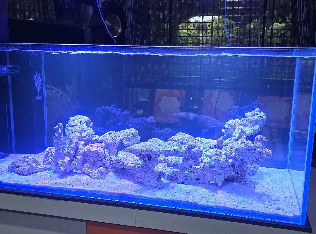Tank Image
