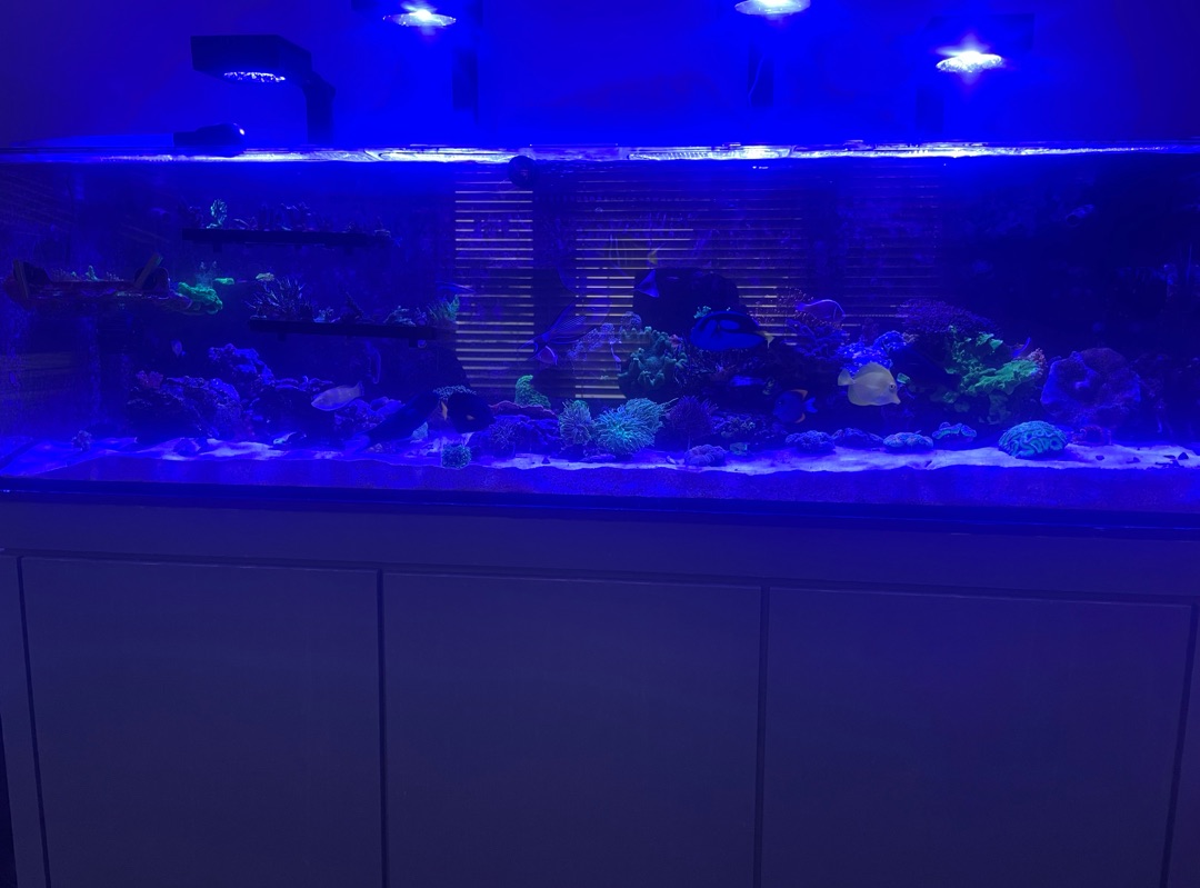 Tank Image