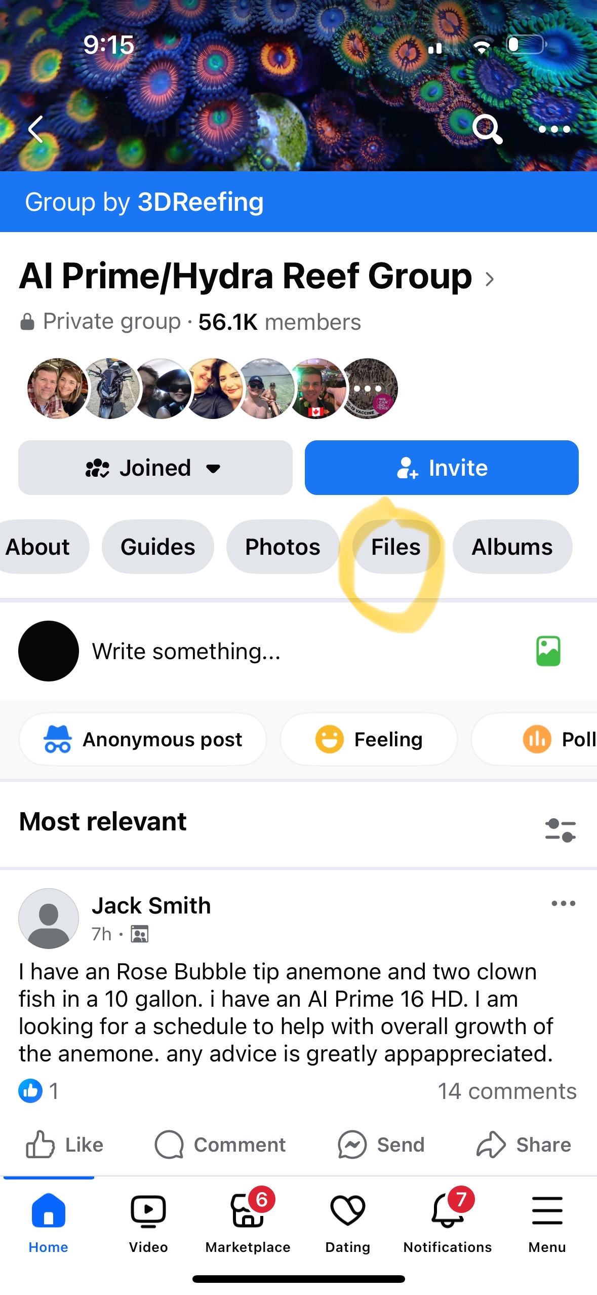 Comment image