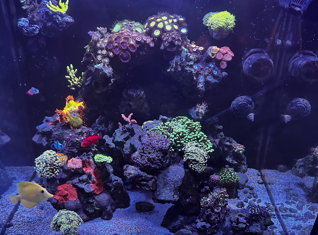 Tank Image