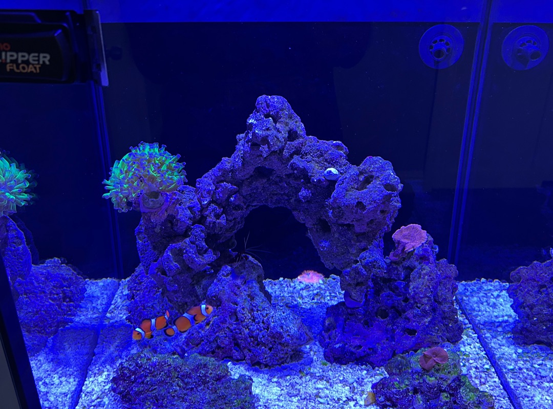 Tank Image