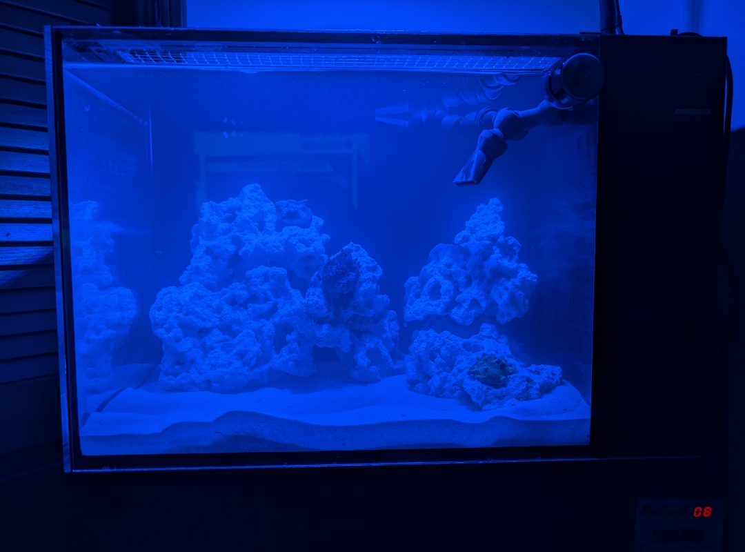 Tank Image