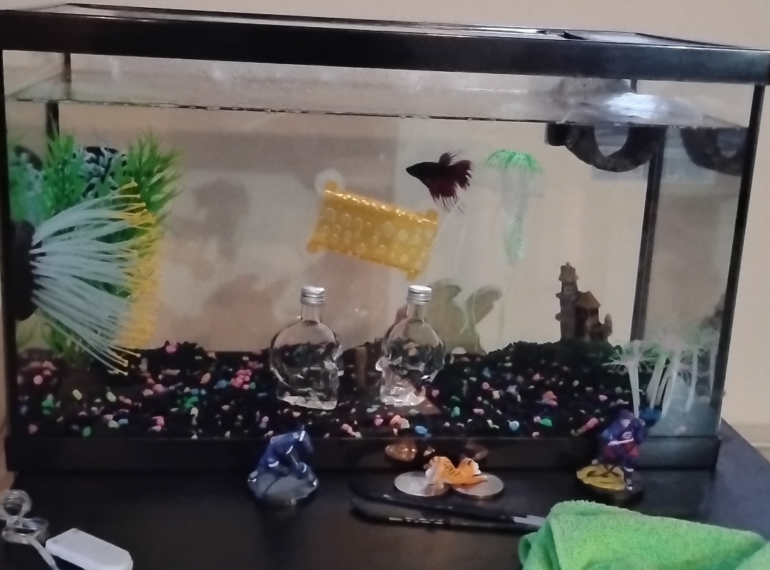 Tank Image
