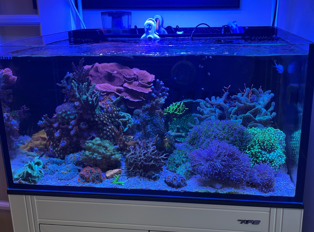 Tank Image