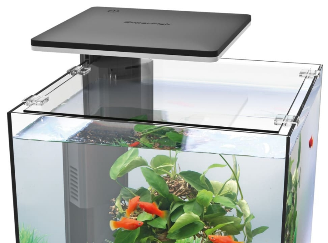 Tank Image