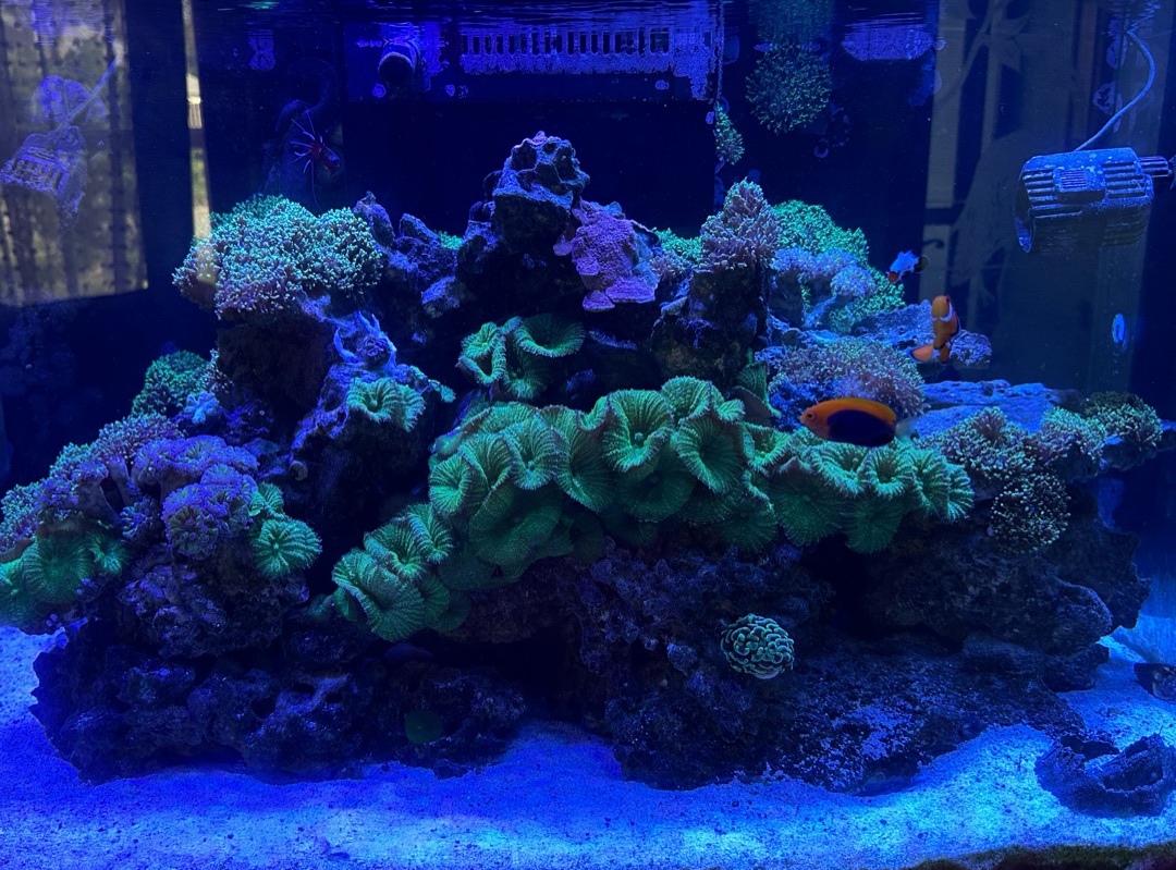 Tank Image