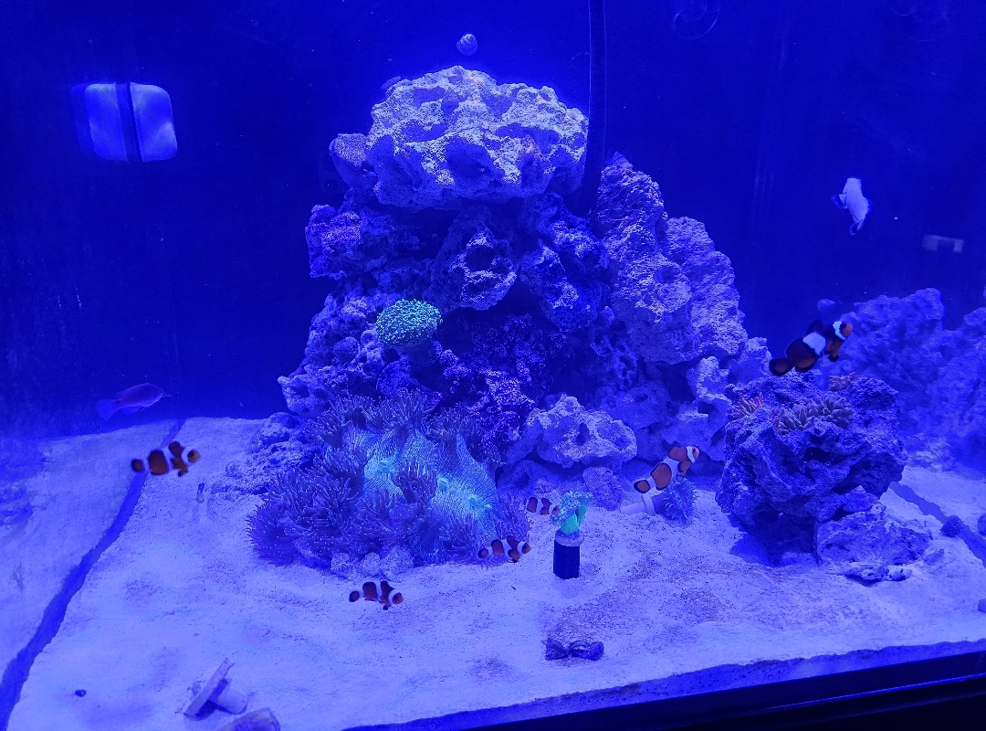 Tank Image