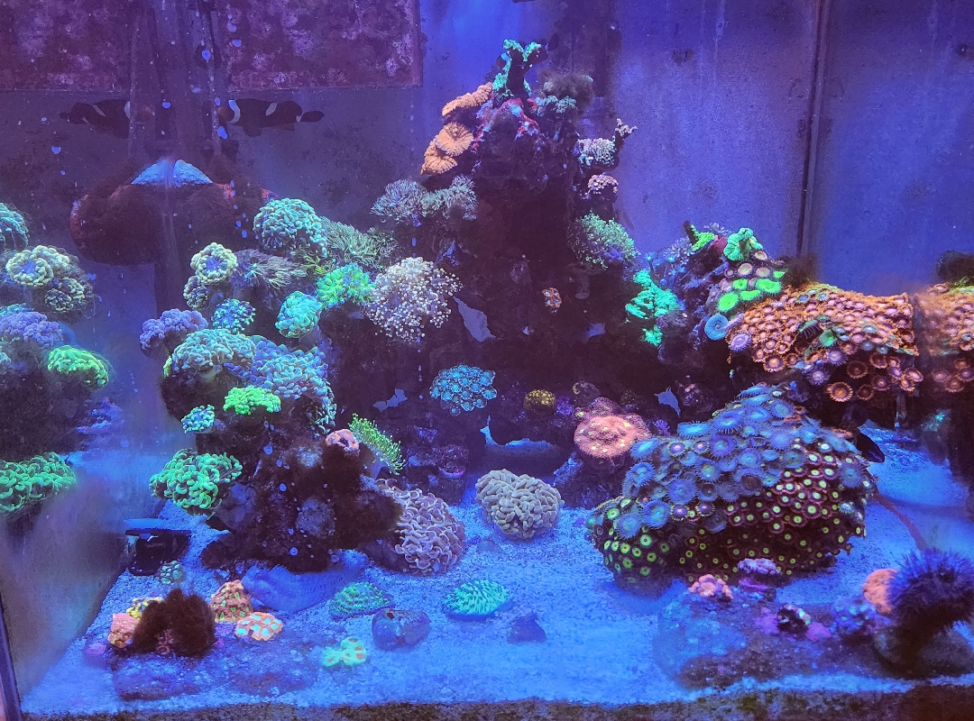 Tank Image