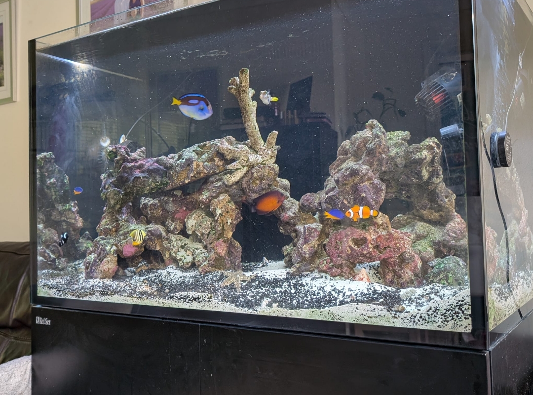 Tank Image
