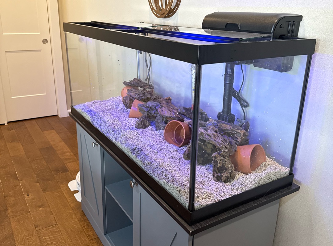 Tank Image