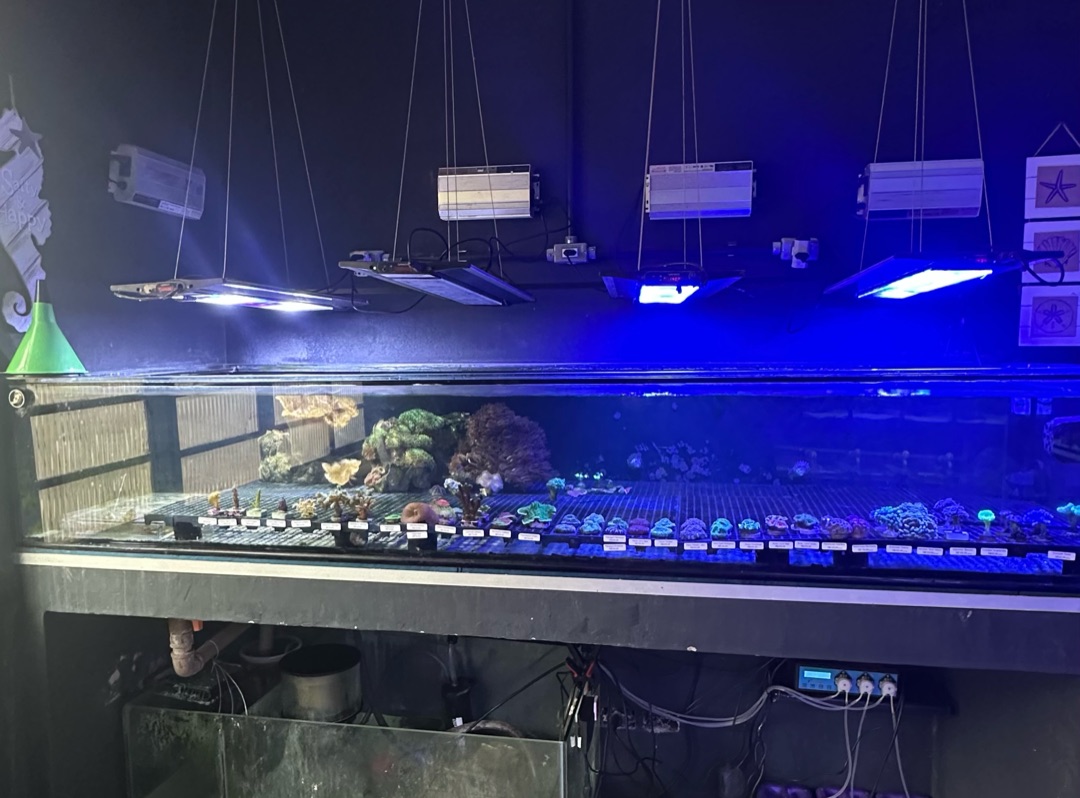 Tank Image