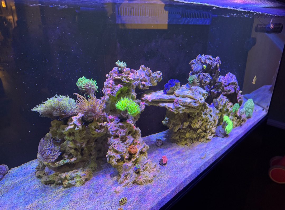Tank Image