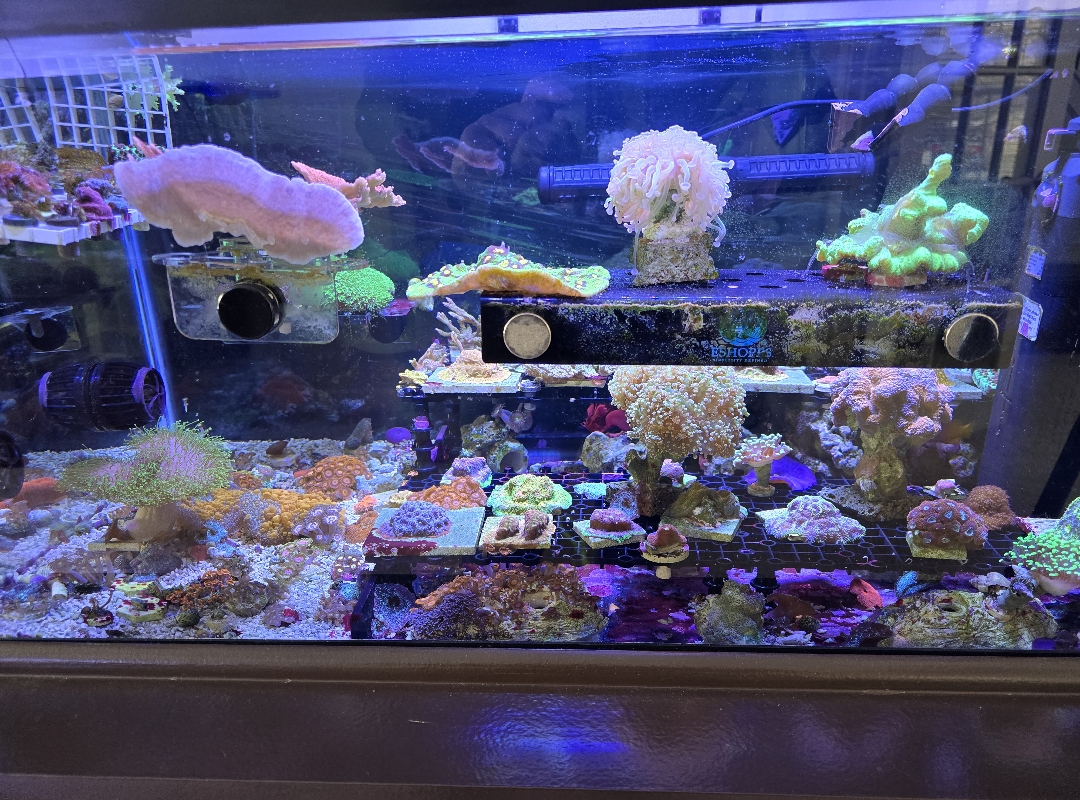 Tank Image