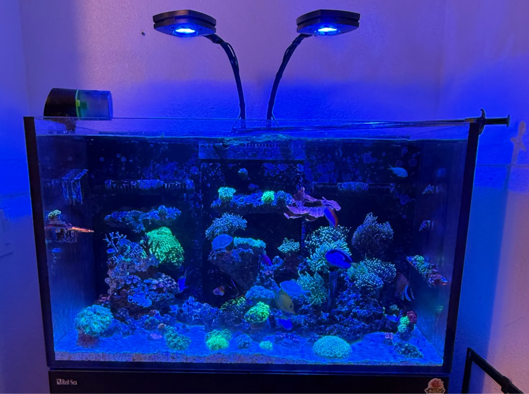Tank Image