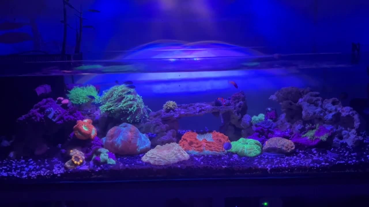 ReefBay Post