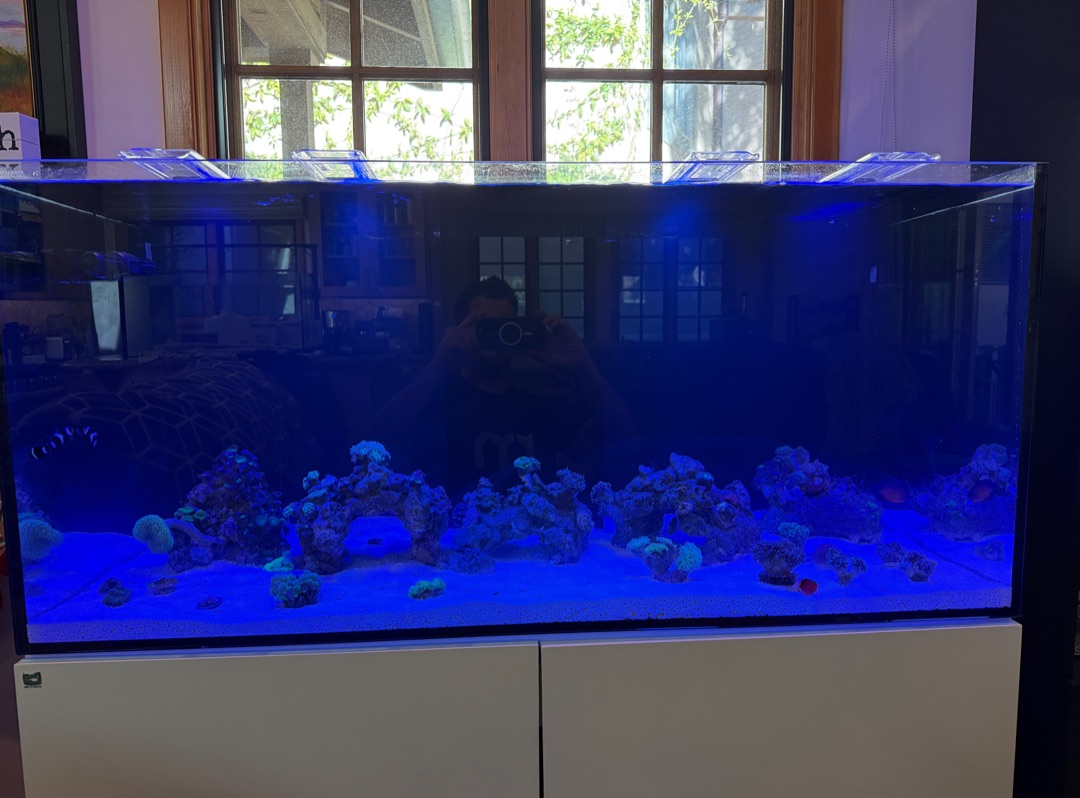 Tank Image