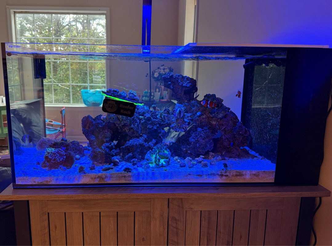 Tank Image