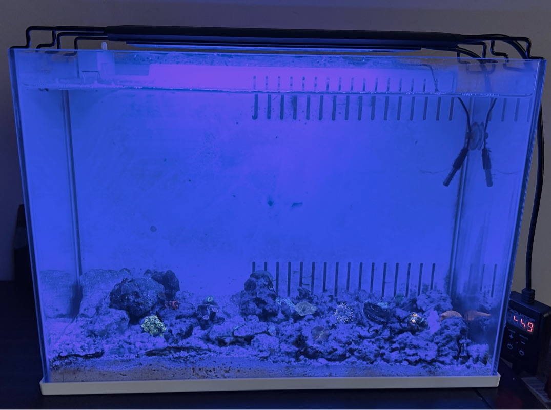 Tank Image