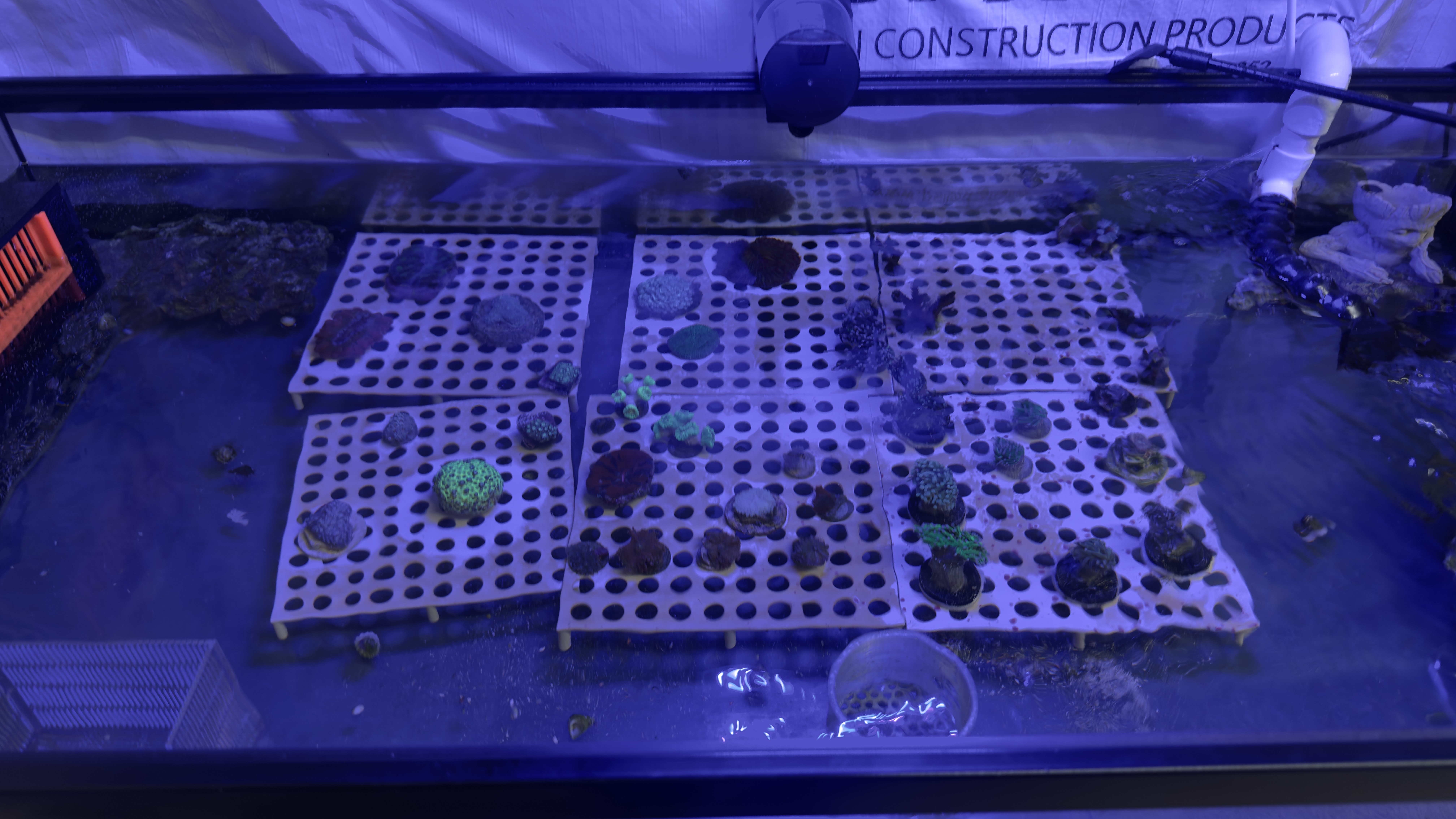 Tank Image