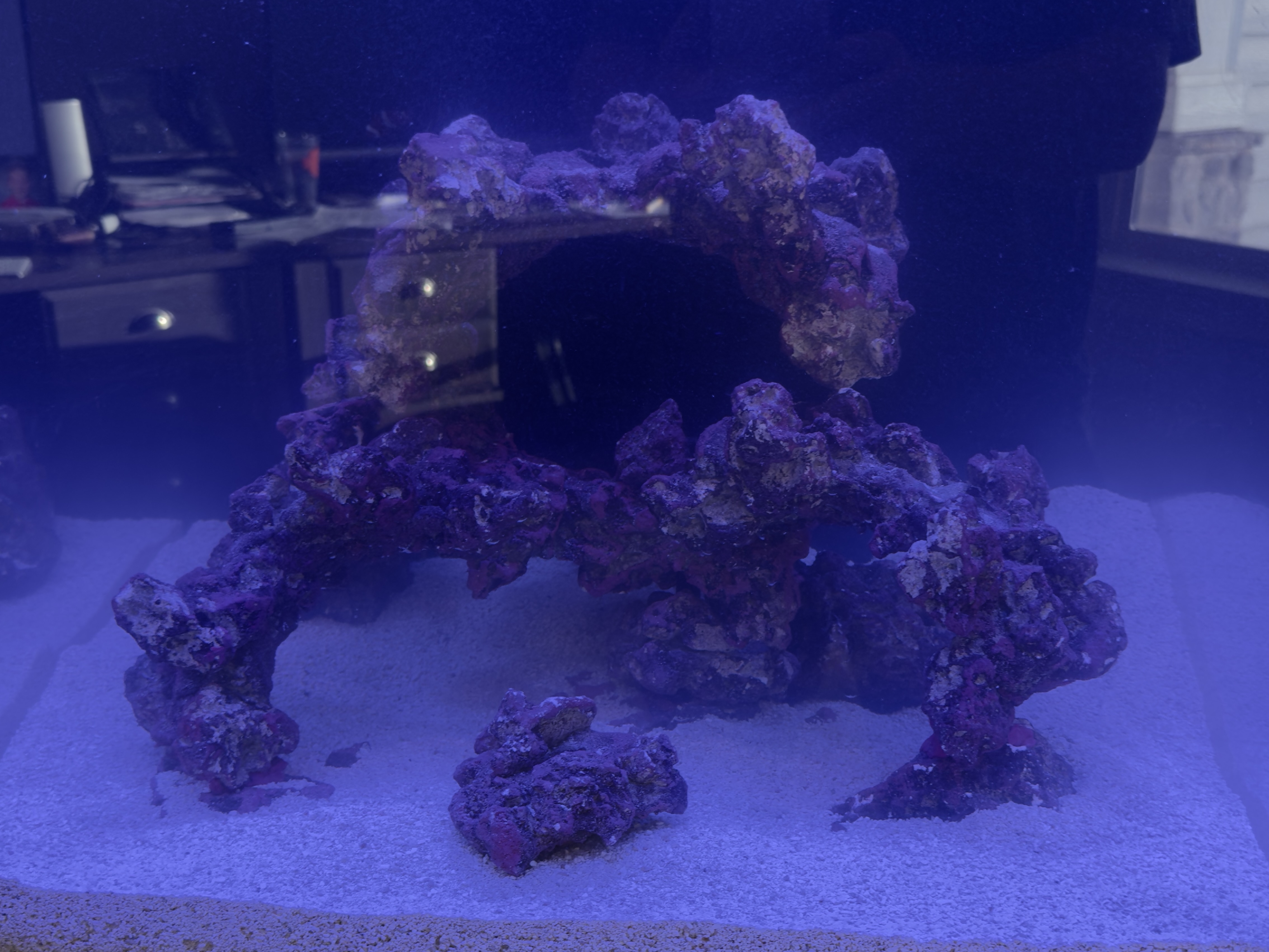 Tank Image