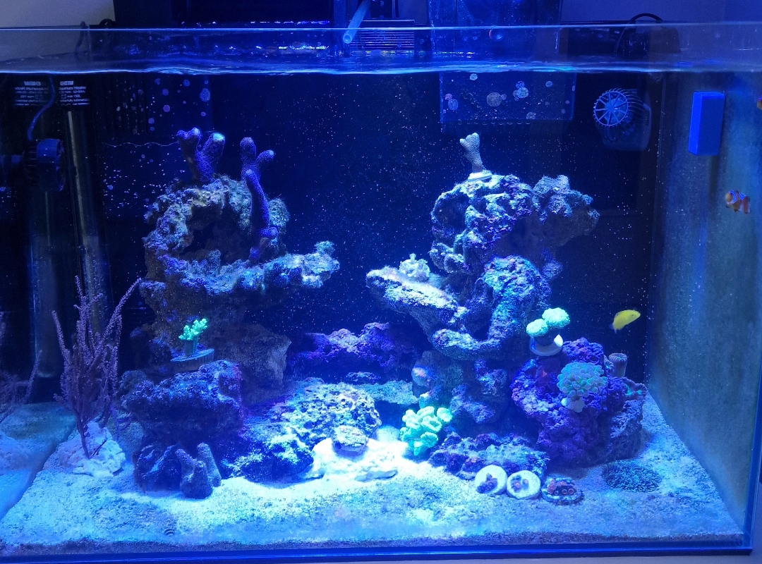 Tank Image