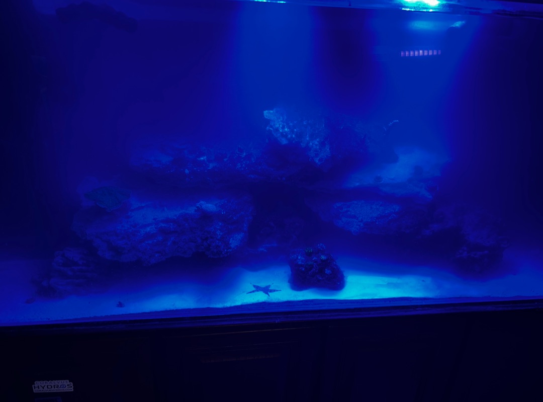 Tank Image