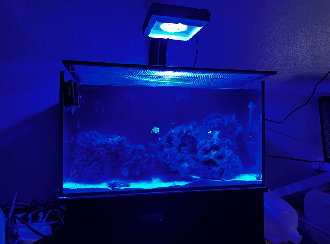 Tank Image