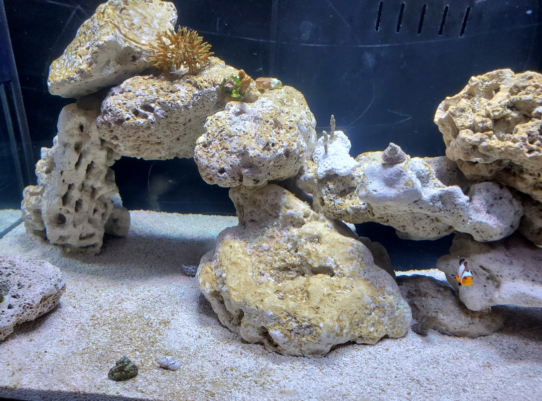 Tank Image