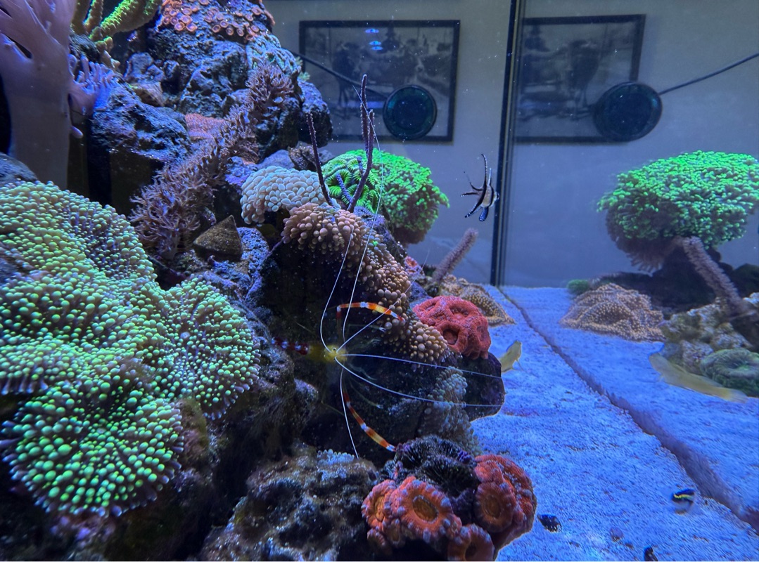 Tank Image