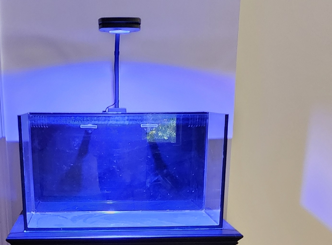 Tank Image