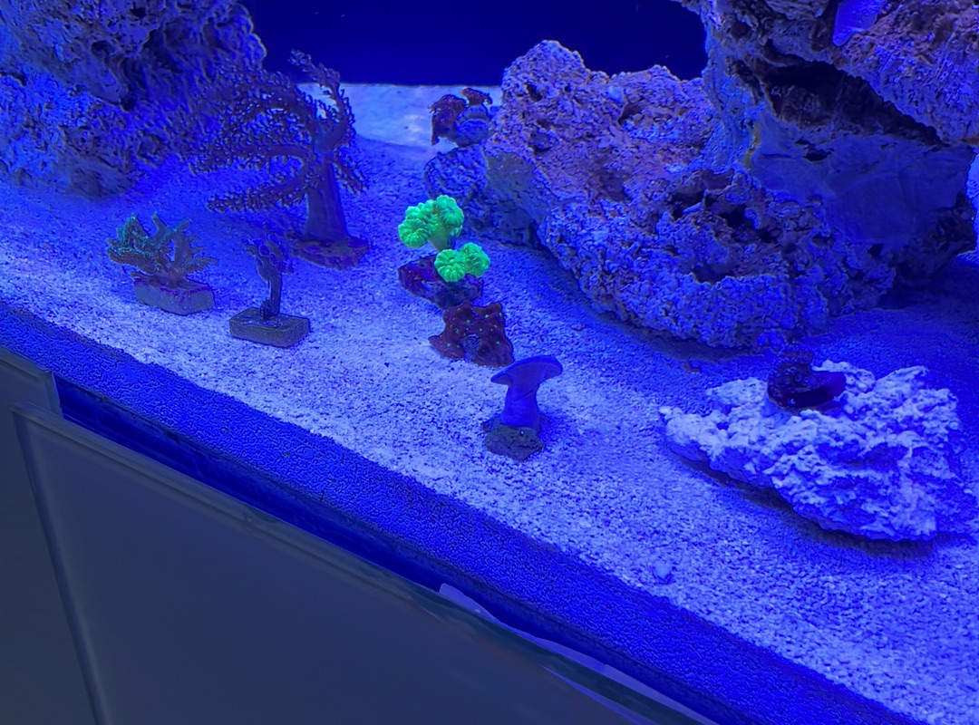 Tank Image