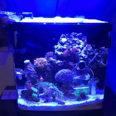 TheCubeReef
