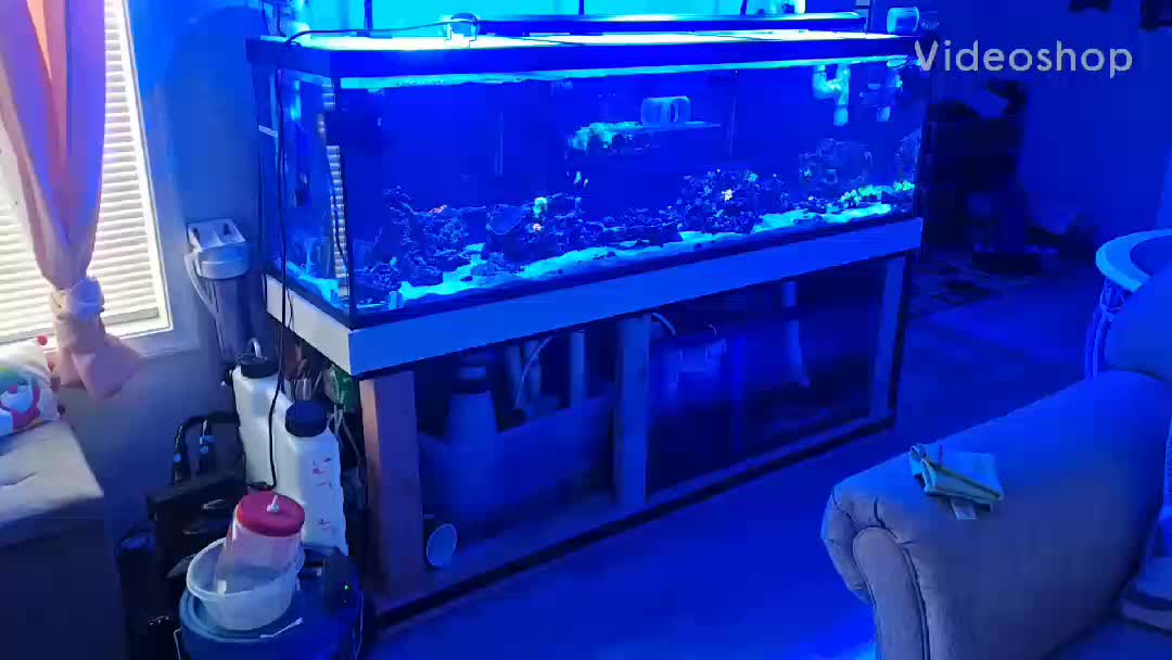 Finish doing a water change. Just wanted to share a video of the corals I have so far in t...