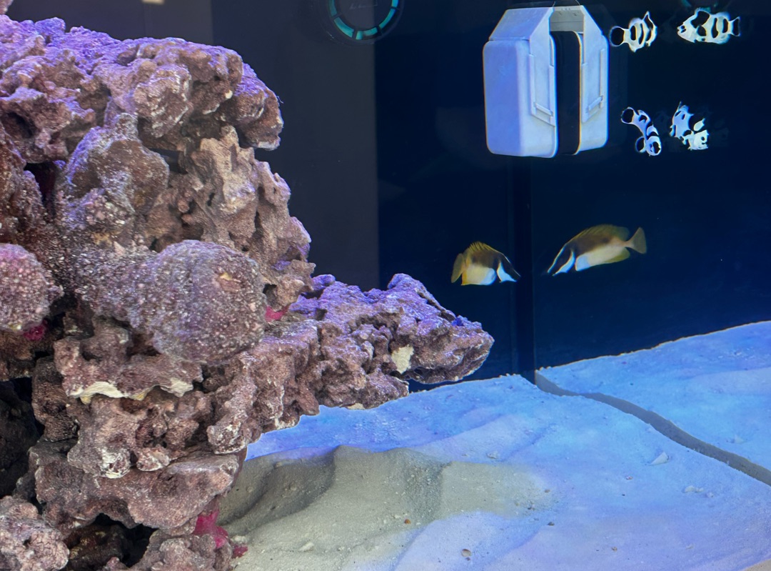 Tank Image