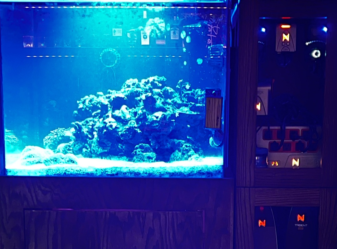 Tank Image