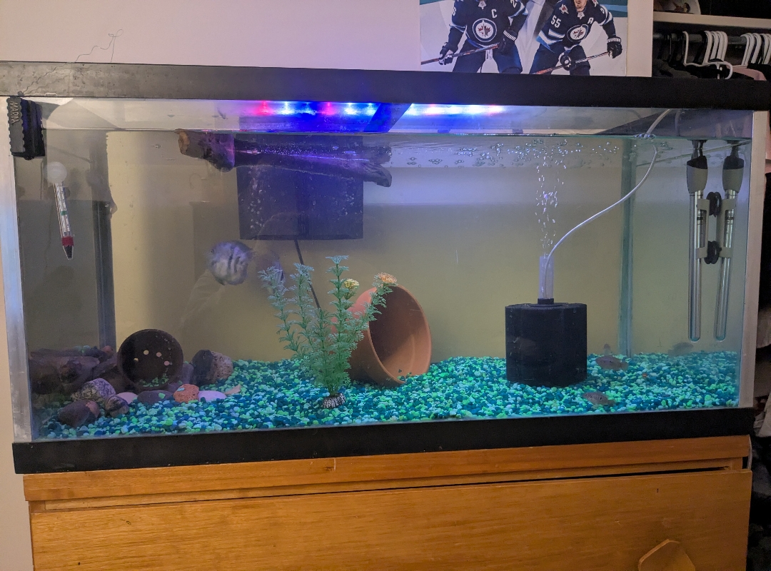 Tank Image