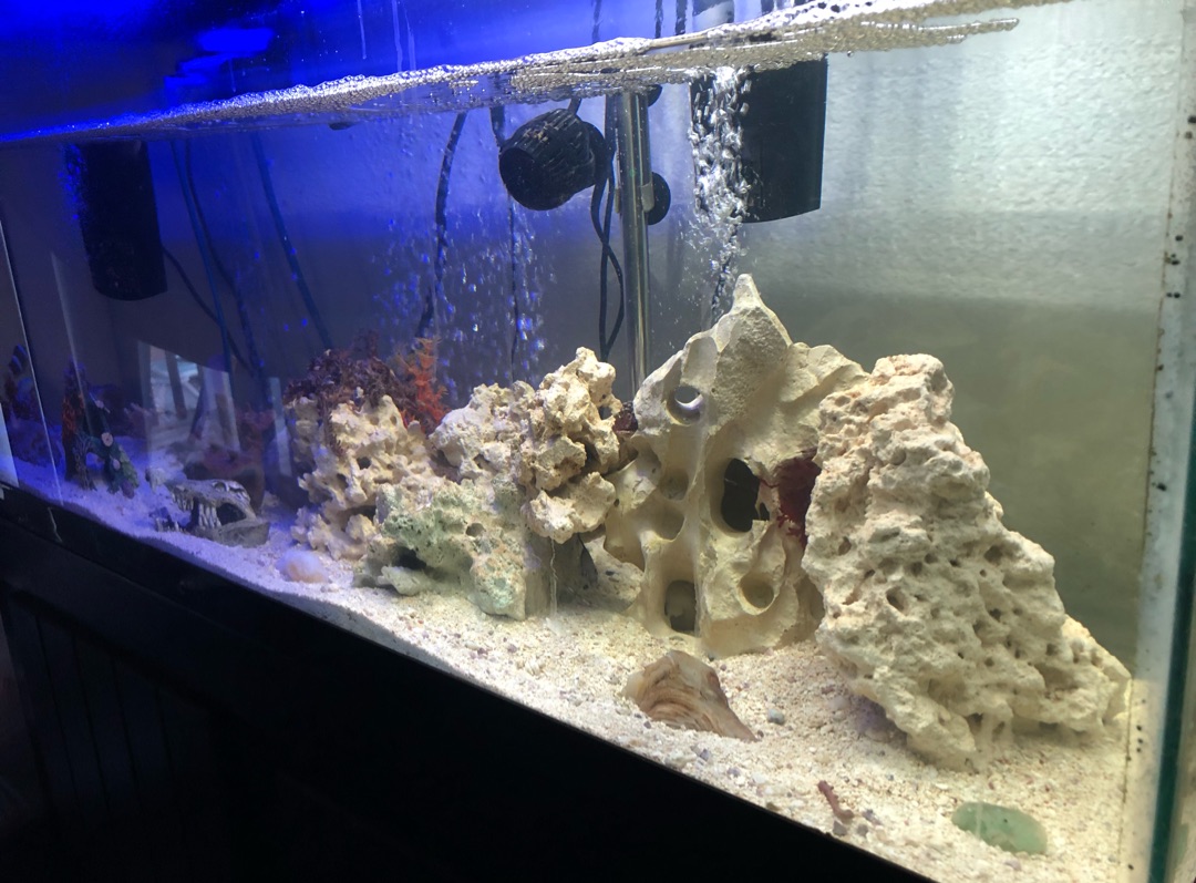 Tank Image