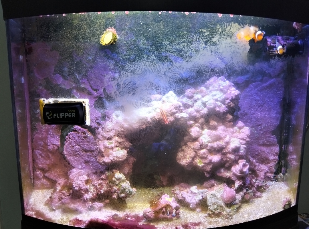 Tank Image