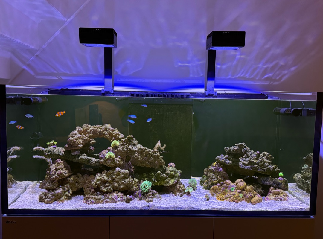Tank Image