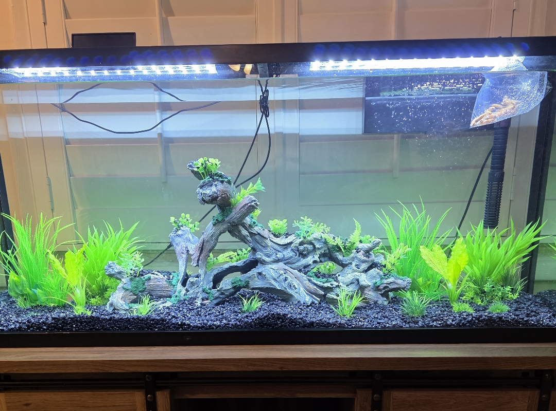 Tank Image