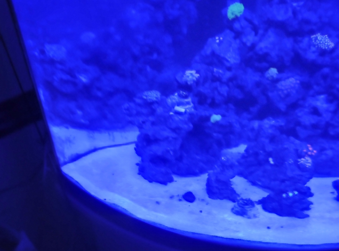 Tank Image