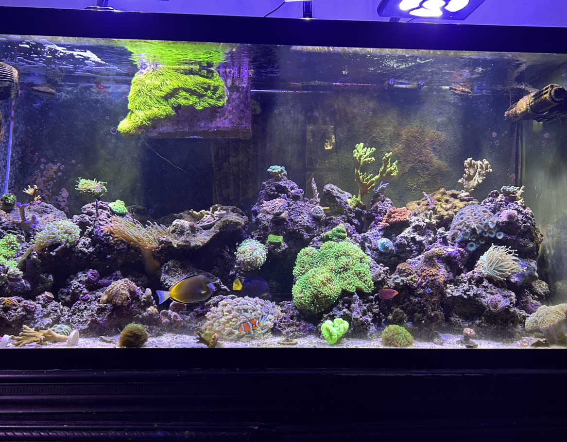 Tank Image