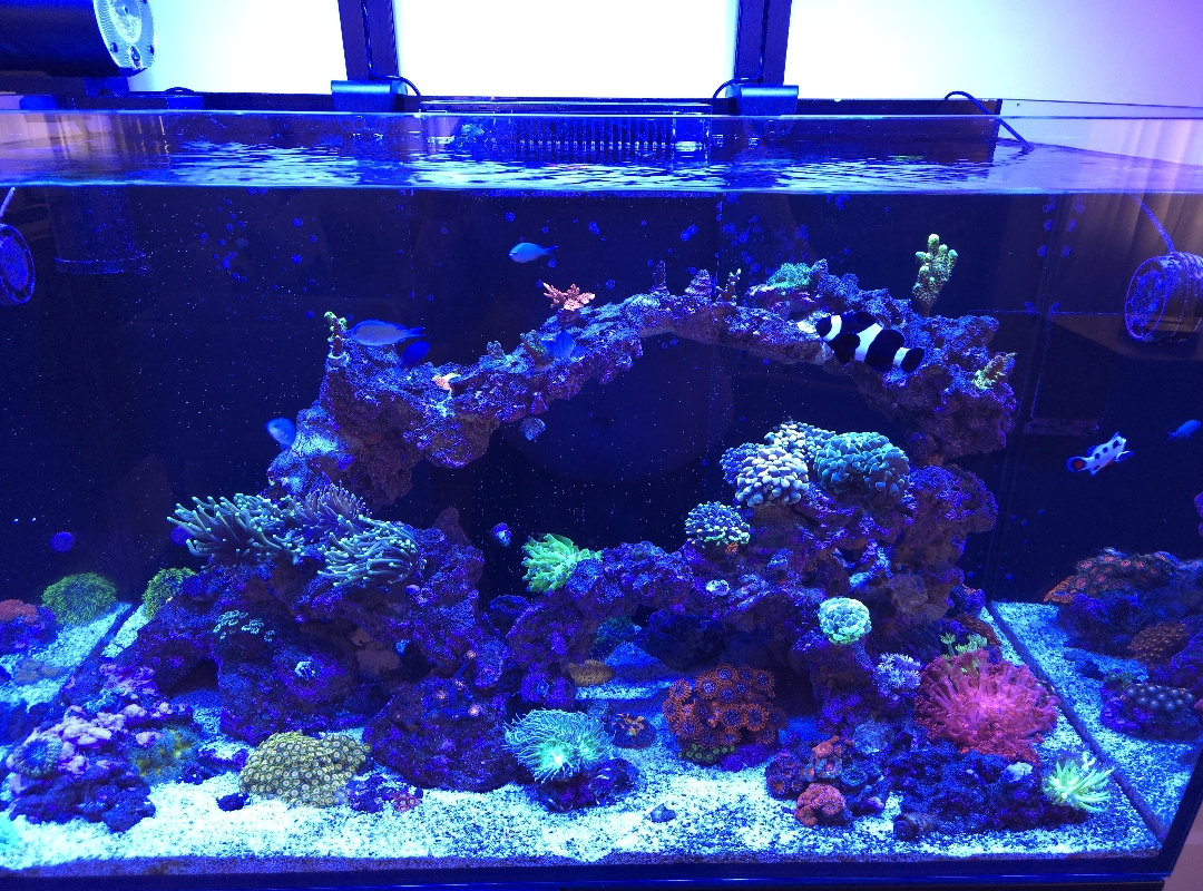 Tank Image